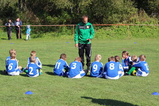 华体会app介绍-中国篮球教练员战术创新与应用能力提升路径探索，全国篮球教练员岗位培训